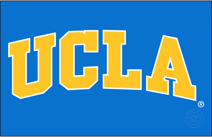 UCLA Bruins 1996-2017 Wordmark Logo v3 diy iron on heat transfer